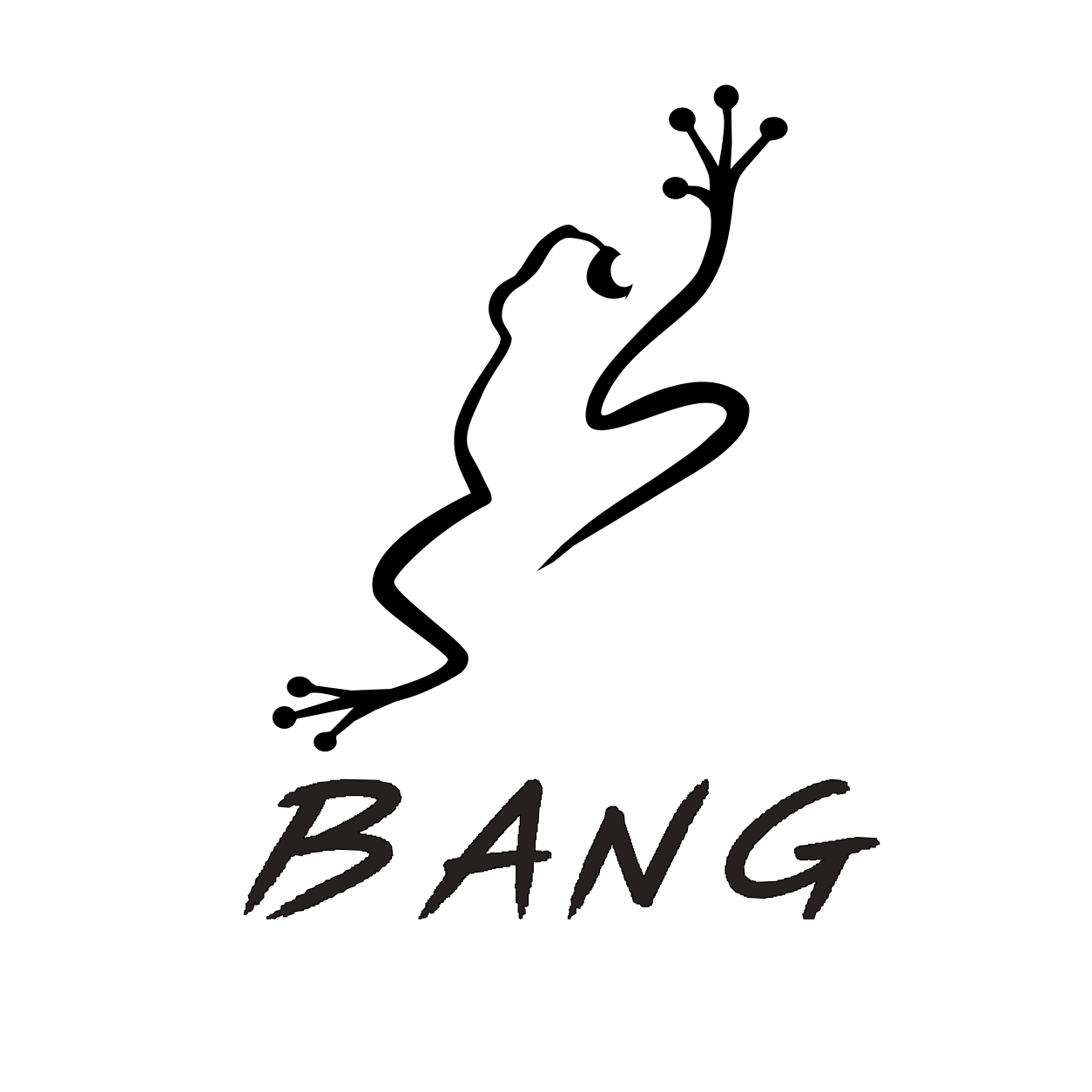 BANG Clothing